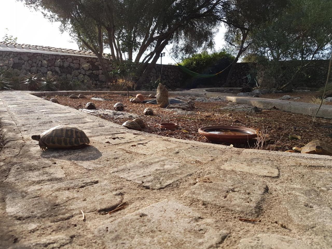 Turismo Rural Biniati Des Pi Sant Lluis Luaran gambar
